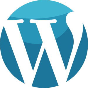 Kurumsal WordPress Blog Kullanımı Site İçin Gerekenler